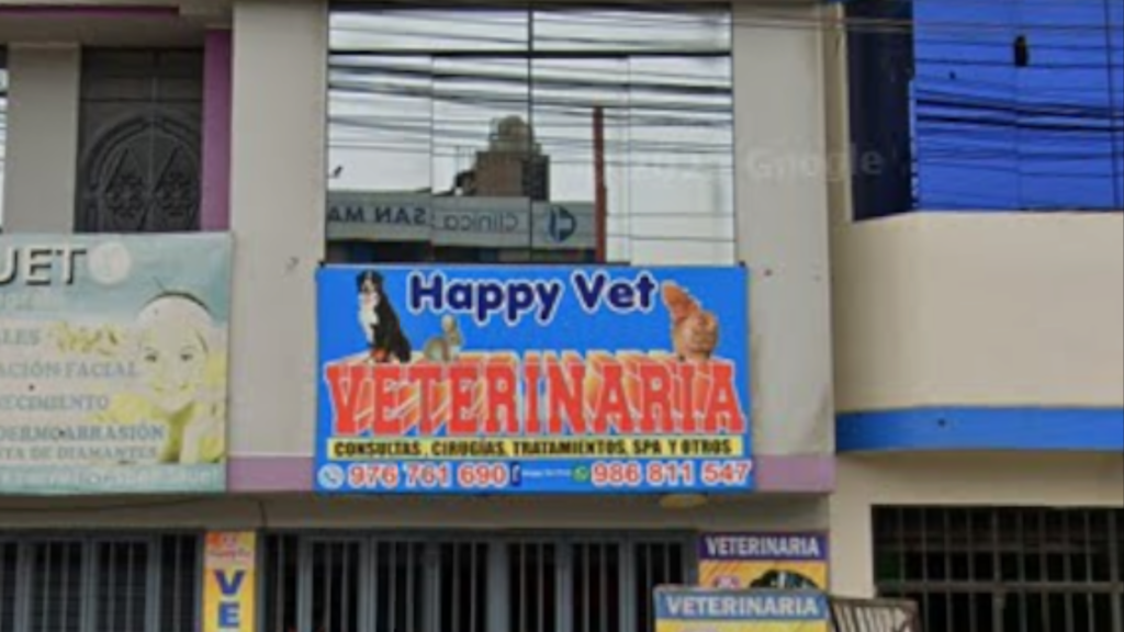 Clínica Veterinaria San Martín diseño sin título (16)